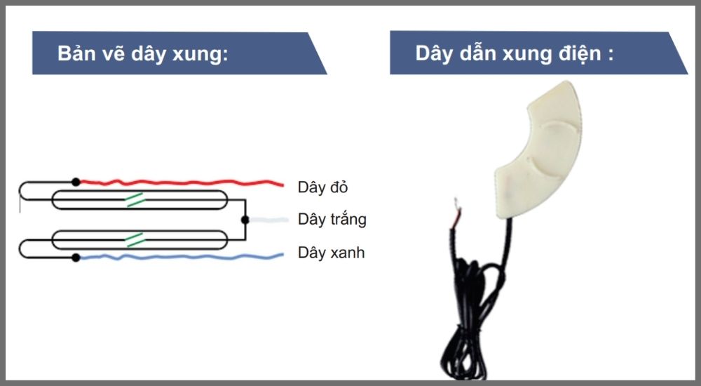 2. Đặc điểm của Pmax woltman WHB-X dây xung