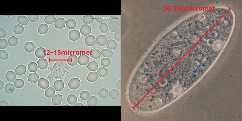Đơn vị đo độ dài trong vật lý