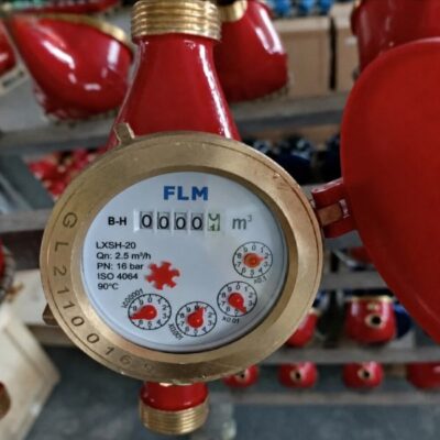 đồng hồ nước nóng LXSH